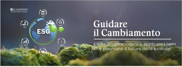 Cosa significa davvero Sostenibilità per le imprese?